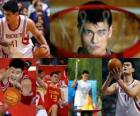 Yao Ming, profesyonel basketbol emekli (2011)